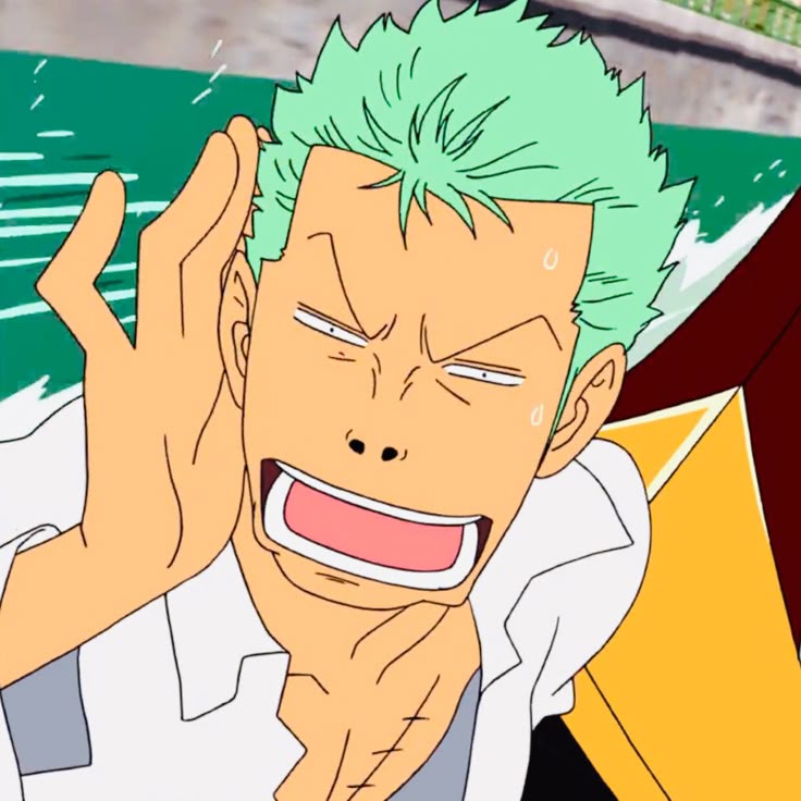 zoro.jpeg